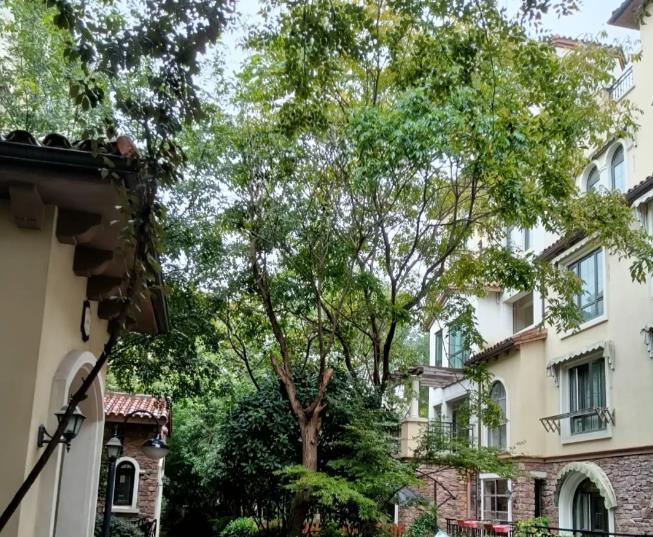 EPS構(gòu)件的施工工藝包括施工前準備、測量與切割、涂抹專用膠、粘貼構(gòu)件、調(diào)整與固定、清理與驗收等步驟