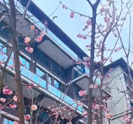 安裝要求是EPS外墻裝飾線條質量得以體現的重要環節