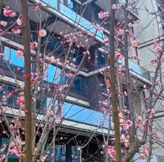 eps外墻線條的標準用材，你不要錯過了！