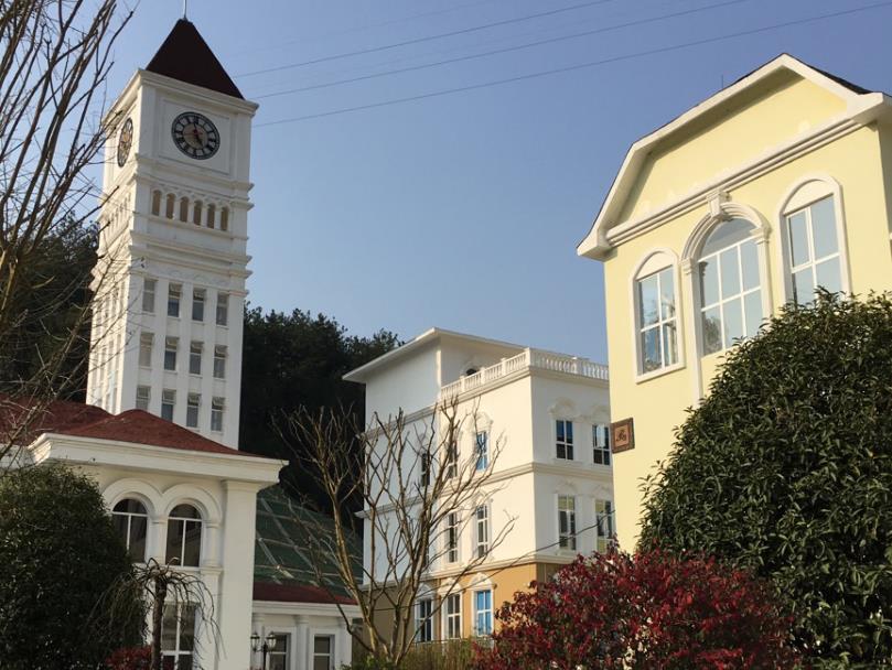 傳統線條與EPS線條：哪個更適合您的家？裝飾線條評測